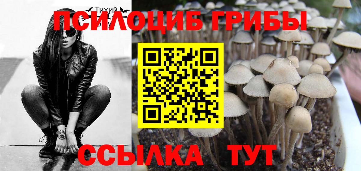 Старая Купавна  Галлюциногенные грибы Cubensis  Вход с VPN 