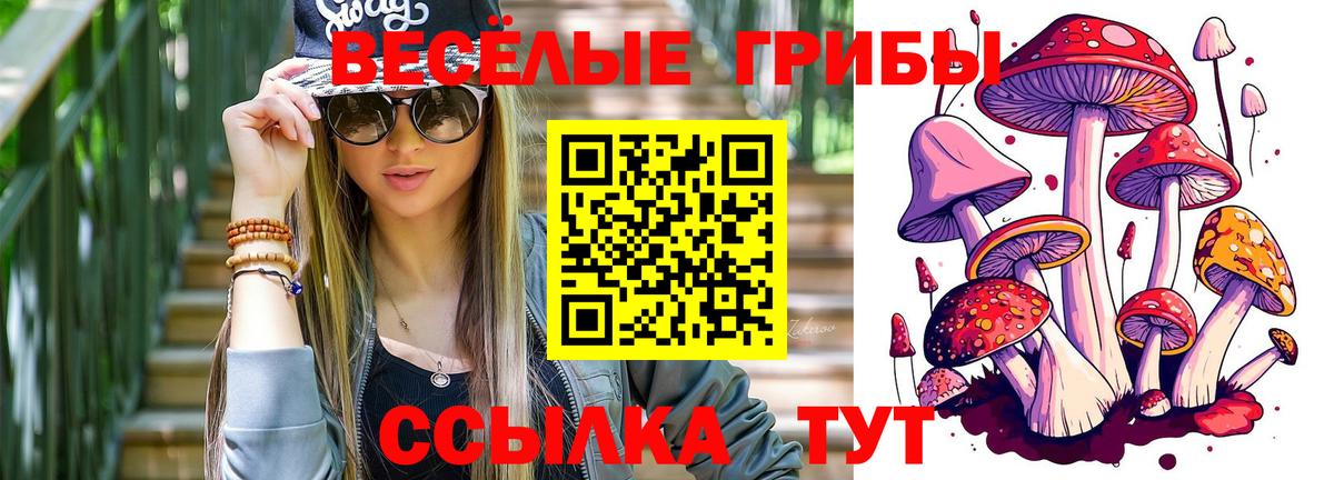 Псилоцибиновые грибы GOLDEN TEACHER Старая Купавна